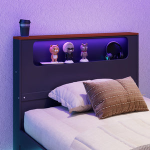 English Elm Twin Wood Gaming Daybed with Trundle Built-in Desk Rgb Lighting and Usb Port Black+Red LT000283AAR