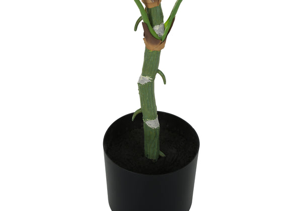 English Elm Artificial Dieffenbachia Tree, 54" Tall Faux Plant For Indoor Decor, Realistic Touch, Black Pot B2710P220032