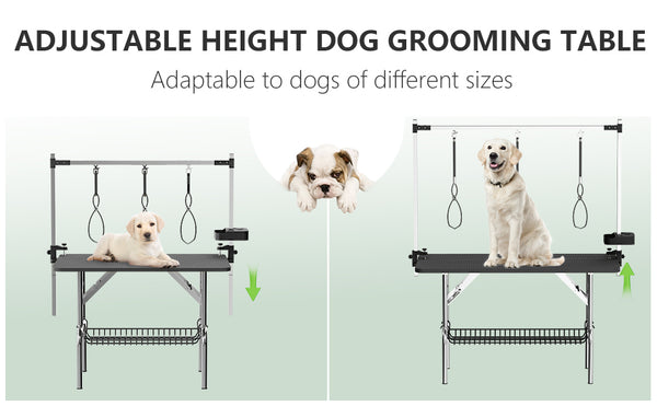 English Elm 47'' Stainless Steel Foldable Pet Grooming Station with Adjustable Arm Noose Mesh Tray Black W3587P462651