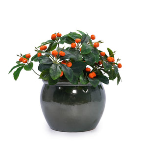 English Elm 3 Pieces Ceramic Flowerpot Set - Elegant Antique Blue-Green Planters For Home, Garden & Patio Decor W3273P321543