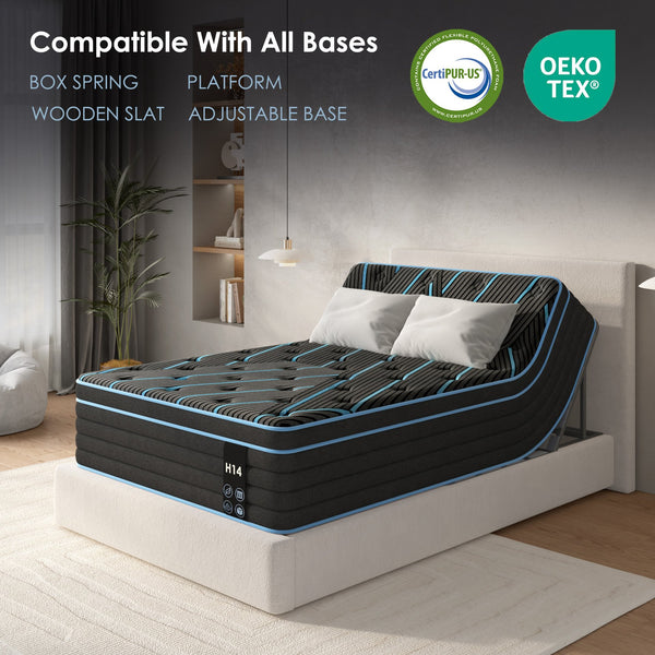 English Elm Twin Hybrid Mattress 10 Inch Pocketed Coil Memory Foam Medium Firm Sleep Support Black+Blue W2889P423130