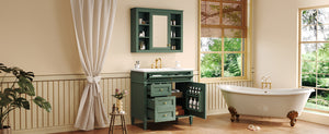 English Elm 36'' Modern Bathroom Vanity with Mirror Cabinet and Sink, Spacious Storage, Soft-Close Doors & Drawers Green SW000134AAF-3