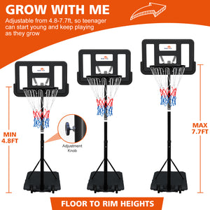 English Elm Double Fish Adjustable Basketball Hoop Portable Steel Frame Outdoor Backyard System W3087P251064