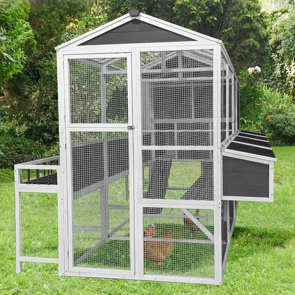 English Elm Chicken Coop Walk-in Cedar Structure with Nesting Boxes for Backyard Flocks W1850S00009