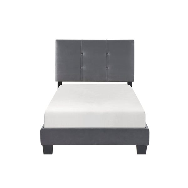 English Elm 1pc Twin Platform Bed Velvet Upholstered Button-Tufted Headboard Adjustable Height Low-Profile Solid Wood Frame 42" x 79.5" Dark Gray 44.5 L x 26 W x 5 H B011P203576