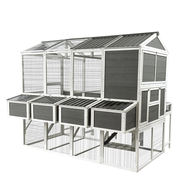 English Elm Chicken Coop Walk-in Cedar Structure with Nesting Boxes for Backyard Flocks W1850S00009