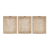 Madison Park Linen Botanicals Transitional Illustration 3-piece Canvas Wall Art Set MP95C-0037 Multi