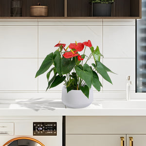 English Elm 2 Pieces Ceramic Flowerpot Set - Modern Glossy White Planters For Garden, Patio & Indoor Décor W3273P321386