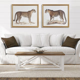 Martha Stewart The Duel Coastal Cheetah Framed Graphic Wall Decor 2 Piece set MT95G-0086 Multi