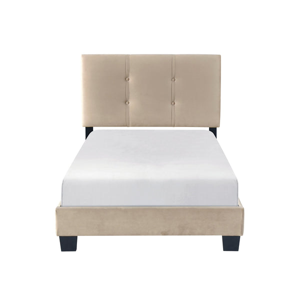 English Elm 1pc Twin Platform Bed Velvet Upholstered Button-Tufted Headboard Adjustable Height Low-Profile Solid Wood Frame 42" x 79.5" Light Brown 44.5 L x 26 W x 5 H B011P203575