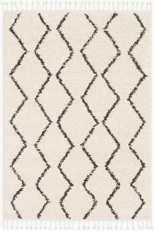 Livabliss Berber Shag Polypropylene Rug with Fringe for Entryway or Bathroom Accent Charcoal, Light 8'10" x 12' BBE2303-9212