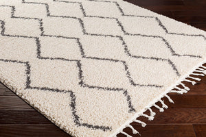 Livabliss Berber Shag Polypropylene Rug with Fringe for Entryway or Bathroom Accent Charcoal, Light 2' x 2'11" BBE2303-23