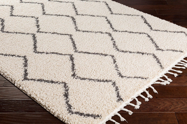 Livabliss Berber Shag Polypropylene Rug with Fringe for Entryway or Bathroom Accent Charcoal, Light 2' x 2'11" BBE2303-23