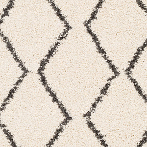 Livabliss Berber Shag Polypropylene Rug with Fringe for Entryway or Bathroom Accent Charcoal, Light 2' x 2'11" BBE2303-23