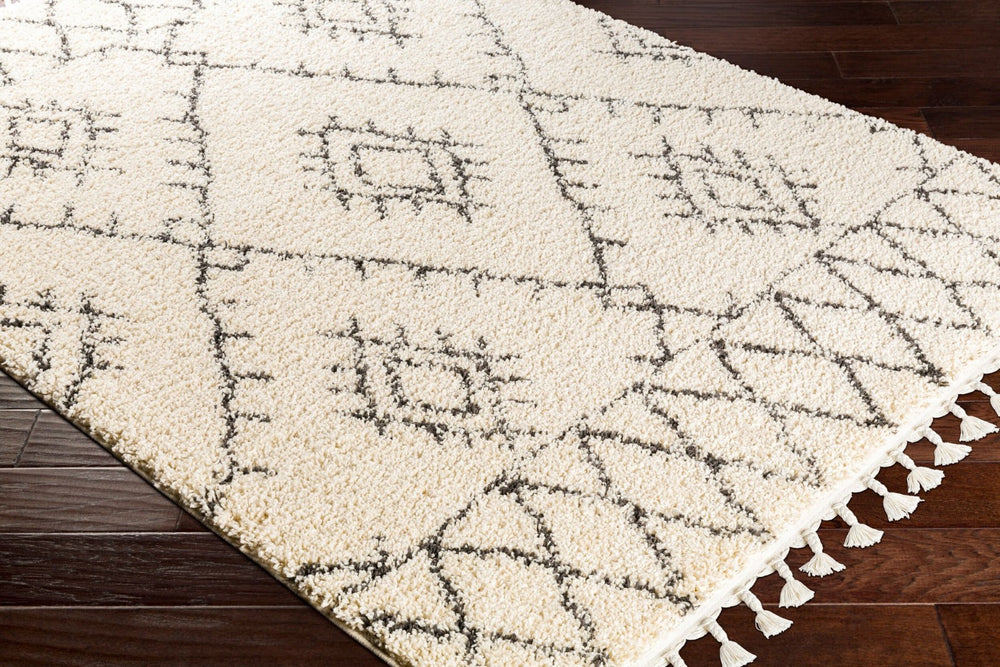 Livabliss Berber Shag Runner Plush Polypropylene Pile with Fringe Detail for Hallways BBE2305-2773
