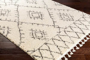Livabliss Berber Shag Runner Plush Polypropylene Pile with Fringe Detail for Hallways BBE2305-2773