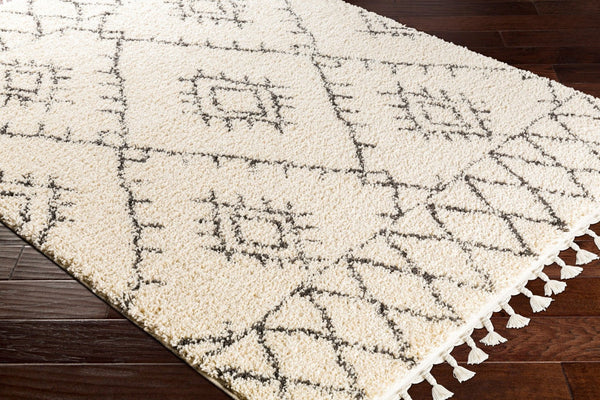 Livabliss Berber Shag Runner Plush Polypropylene Pile with Fringe Detail for Hallways BBE2305-2773