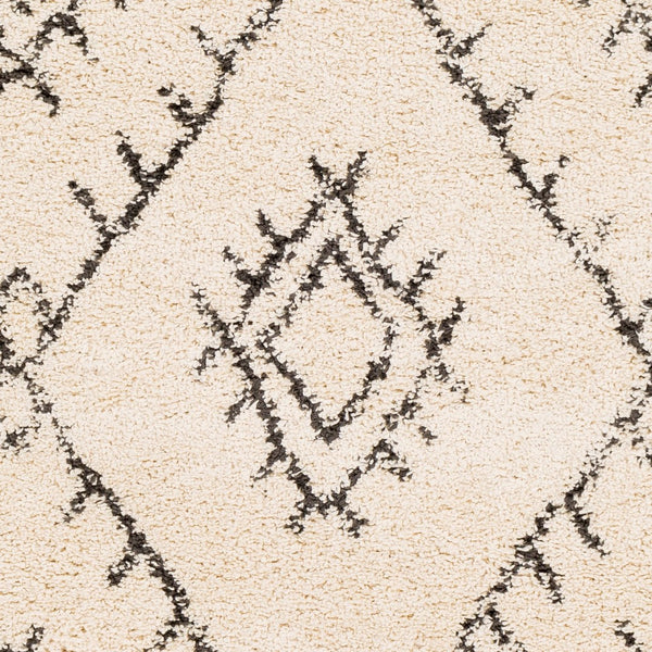 Livabliss Berber Shag Runner Plush Polypropylene Pile with Fringe Detail for Hallways BBE2305-2773