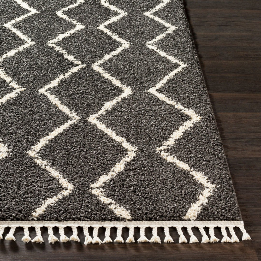 Livabliss Berber Shag Runner Rug Plush Polypropylene Pile with Fringe Bohemian Hallway Accent Charcoal, Light 2'7" x 7'3" BBE2306-2773