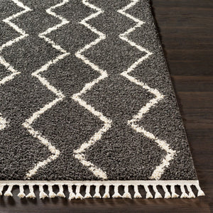 Livabliss Berber Shag Runner Rug Plush Polypropylene Pile with Fringe Bohemian Hallway Accent Charcoal, Light 2'7" x 7'3" BBE2306-2773
