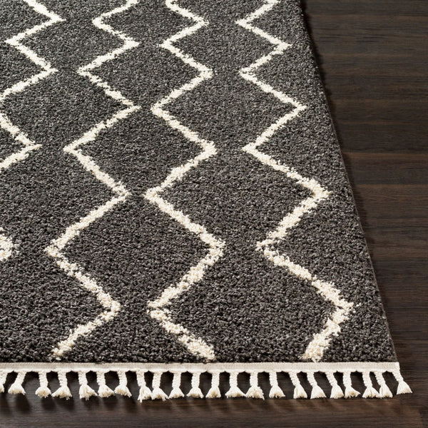 Livabliss Berber Shag Runner Rug Plush Polypropylene Pile with Fringe Bohemian Hallway Accent Charcoal, Light 2'7" x 7'3" BBE2306-2773