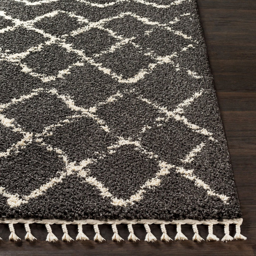 Livabliss Berber Moroccan Shag Rug Plush Polypropylene Pile with Fringe for Entryway Accent Charcoal, Light 3'11" x 5'7" BBE2307-31157
