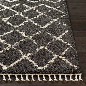 Livabliss Berber Moroccan Shag Rug Plush Polypropylene Pile with Fringe for Entryway Accent Charcoal, Light 3'11" x 5'7" BBE2307-31157