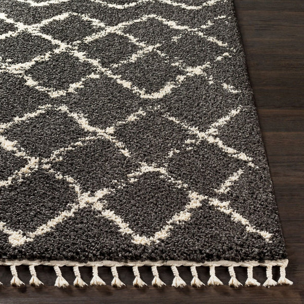 Livabliss Berber Moroccan Shag Rug Plush Polypropylene Pile with Fringe for Entryway Accent Charcoal, Light 3'11" x 5'7" BBE2307-31157