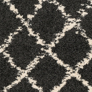 Livabliss Berber Moroccan Shag Rug Plush Polypropylene Pile with Fringe for Entryway Accent Charcoal, Light 3'11" x 5'7" BBE2307-31157