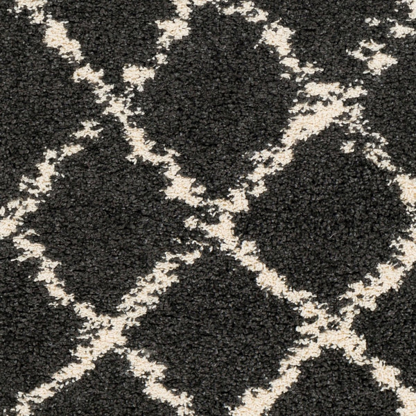 Livabliss Berber Moroccan Shag Rug Plush Polypropylene Pile with Fringe for Entryway Accent Charcoal, Light 3'11" x 5'7" BBE2307-31157