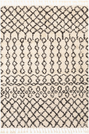 Livabliss Berber Shag Polypropylene Area Rug Global Pattern Plush Pile Entryway Accent Charcoal, Light 2' x 2'11" BBE2309-23