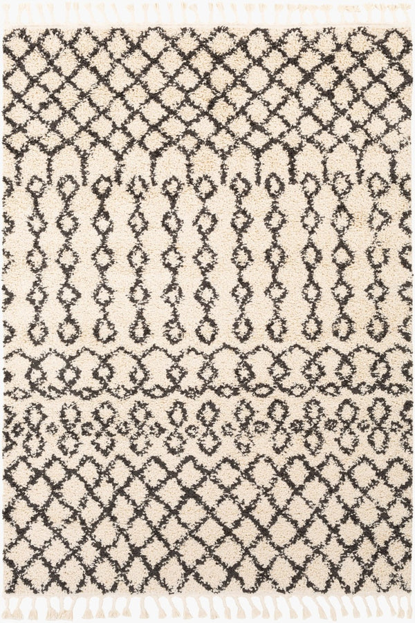 Livabliss Berber Shag Polypropylene Area Rug Global Pattern Plush Pile Entryway Accent Charcoal, Light 2' x 2'11" BBE2309-23