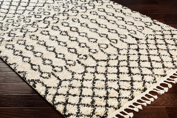 Livabliss Berber Shag Polypropylene Area Rug Global Pattern Plush Pile Entryway Accent Charcoal, Light 2'7" x 7'3" BBE2309-2773