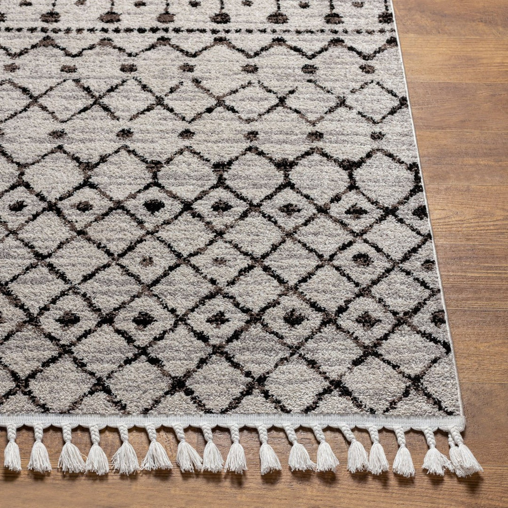 Livabliss Blackburn Bohemian Geometric Runner Rug Polypropylene Woven for Hallway or Entryway BBN2300-2773