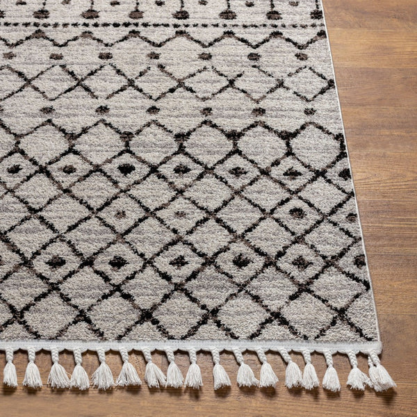 Livabliss Blackburn Bohemian Geometric Runner Rug Polypropylene Woven for Hallway or Entryway BBN2300-2773