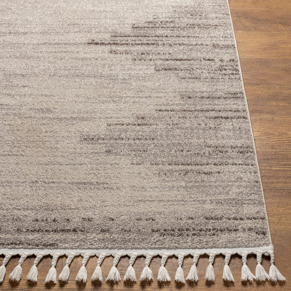 Livabliss Blackburn Bohemian Global Fringe Area Rug Polypropylene Woven Living Room Floor Accent Light Gray, Gra 6'7" x 9' BBN2303-679