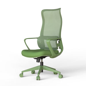 English Elm Ergonomic High Back Mesh Office Chair with Adjustable Lumbar Support and Molded Foam Seat Green W5280P463571