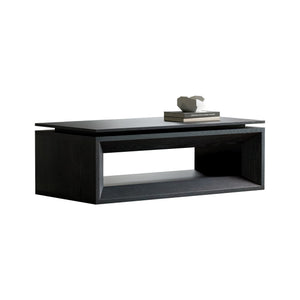 English Elm 43.3'' Wood Veneer Lift Top Coffee Table with Hidden Storage for Living Room Black W1435P453256