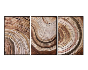 Sunpan TURNING Wall Art - 40" x 60" Bronze Floater Frame with Organic Tree-Ring Design for Any Space II A0429
