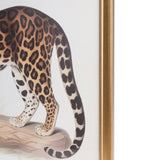 Martha Stewart The Duel Coastal Cheetah Framed Graphic Wall Decor 2 Piece set MT95G-0086 Multi