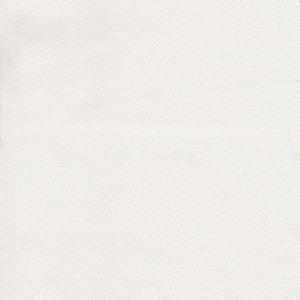 Maxine Dining Chair White & Gold 109714 Zuo Modern