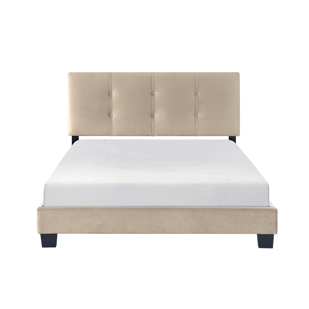 English Elm 1pc Full Platform Bed Newberry Brown Velvet Upholstered Button-Tufted Adjustable Headboard, Solid Wood Frame Light Brown 60 L x 26 W x 5 H B011P203574