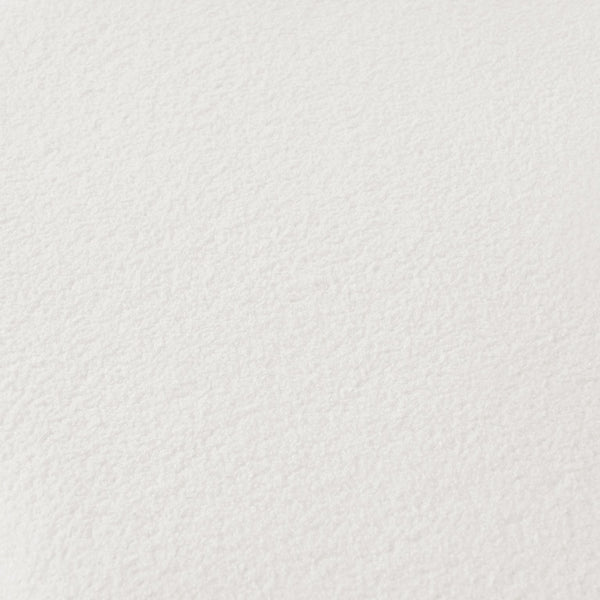 English Elm Curved Four-Seater Teddy Velvet Sofa with Full-Compression Sponge and Spring Support, No-Assembly, Compact White W3612S00001