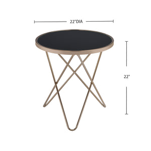 English Elm Black Champagne Mid-Century End Table with Framed Frosted Glass Top and Sleek Black Accent Finish B016P314040