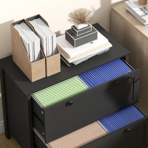 English Elm HOMCOM Lateral 2-Drawer File Cabinet with Lock & Keys, Adjustable Bars for Letter A4 Legal Files W2225P217763