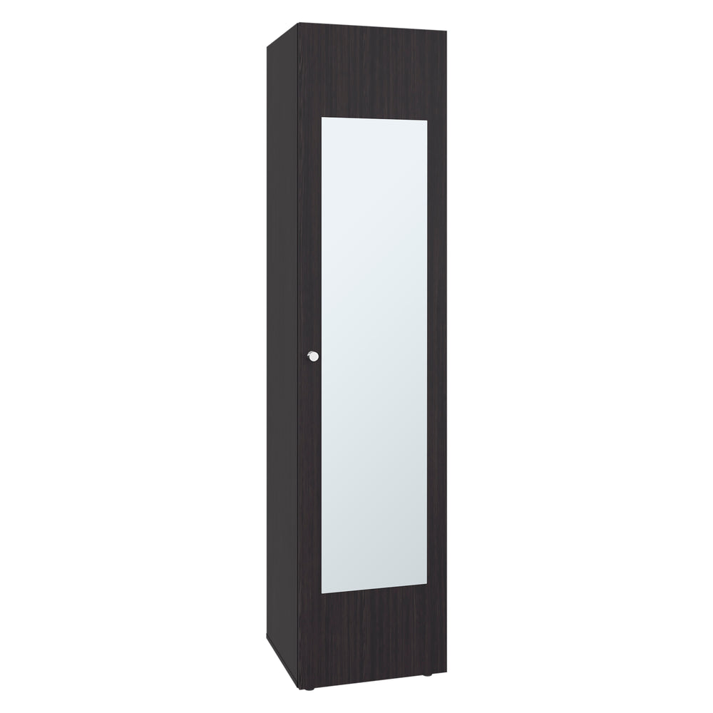 English Elm Home Freestanding Tall Mirrored Cabinet with Four Interior Shelves for Bedroom Bath Dark Walnut B200P465724
