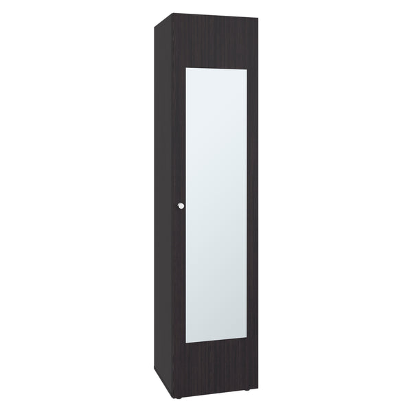 English Elm Home Freestanding Tall Mirrored Cabinet with Four Interior Shelves for Bedroom Bath Dark Walnut B200P465724