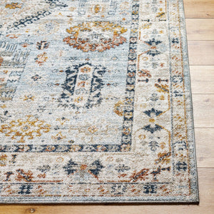 Livabliss Beckham Machine Woven Polyester Area Rug Medium Pile Living Room Anchor BCM2314-9122