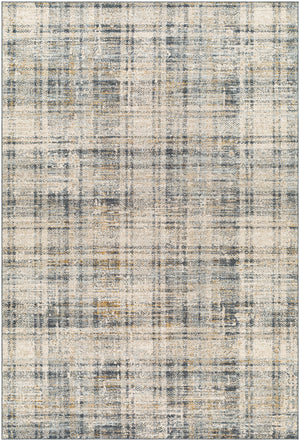 Beckham BCM-2330 9' x 12'2" Machine Woven Rug BCM2330-9122 Livabliss Surya