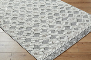 Livabliss Bouclair Flatweave Polyester Area Rug Muted Tones for Living Room or Dining Space BCR2307-679